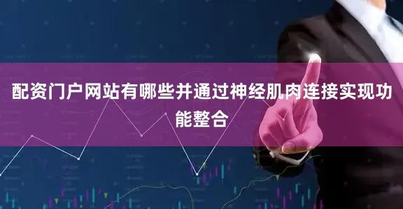 配资门户网站有哪些并通过神经肌肉连接实现功能整合